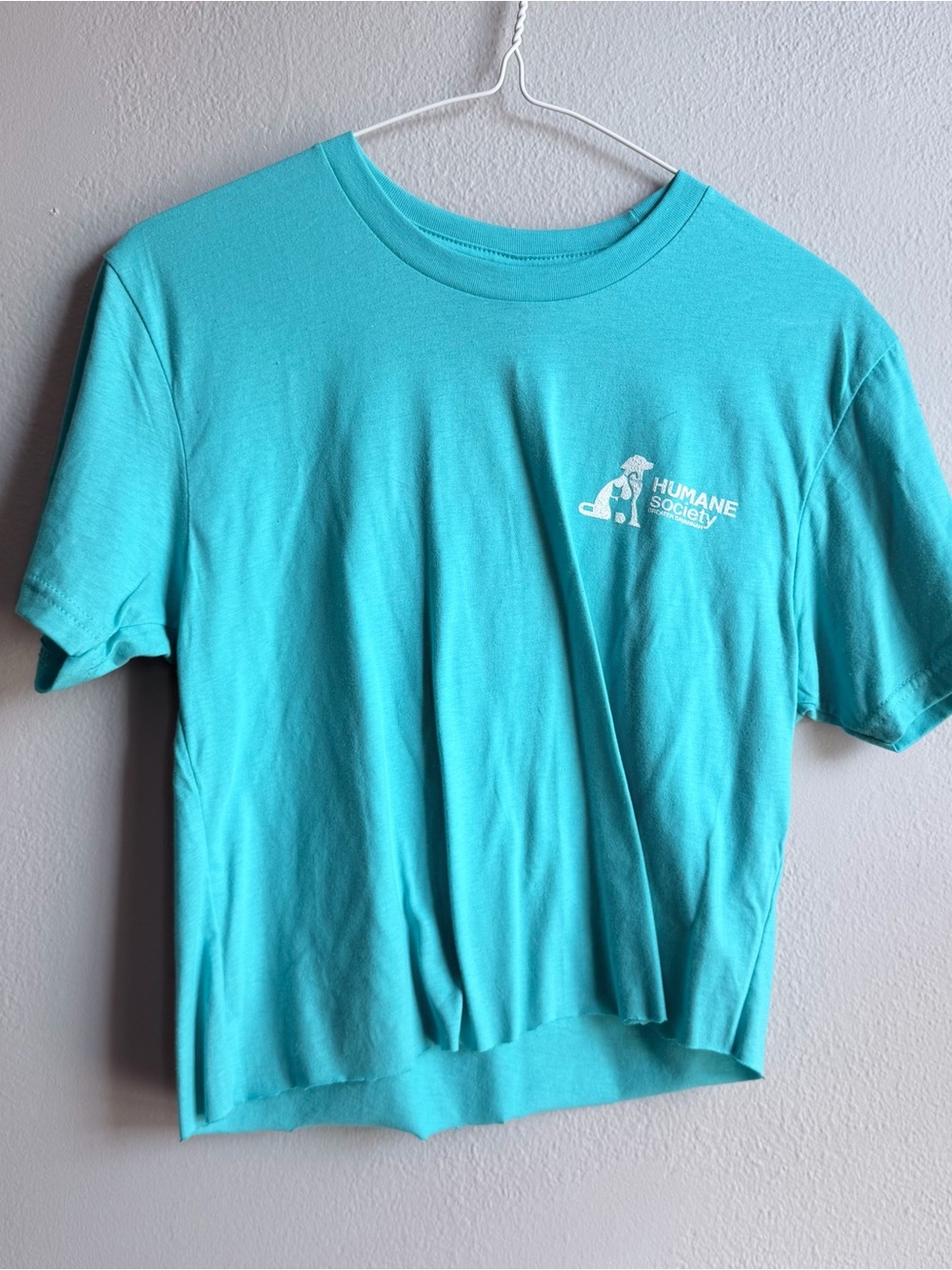 Next Level Apparel Teal Crewneck T-Shirt with Small White Logo